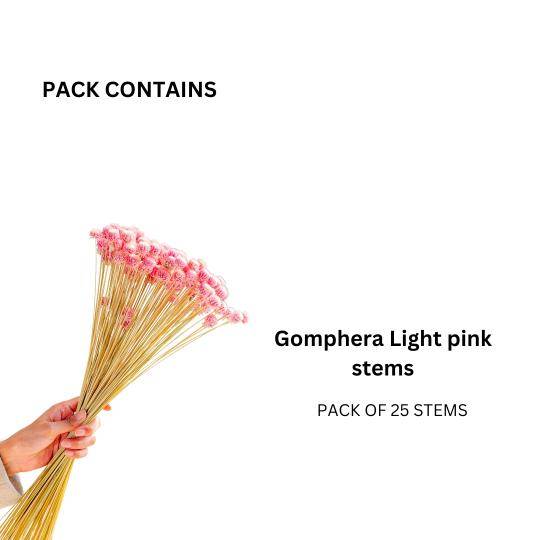 Gomphera set of 25 stems -Light pink