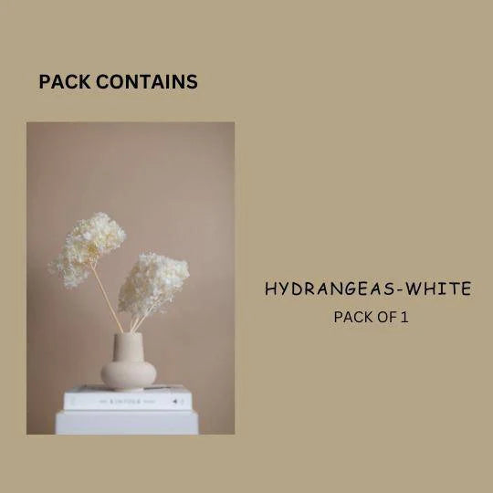 Hydrangeas _White