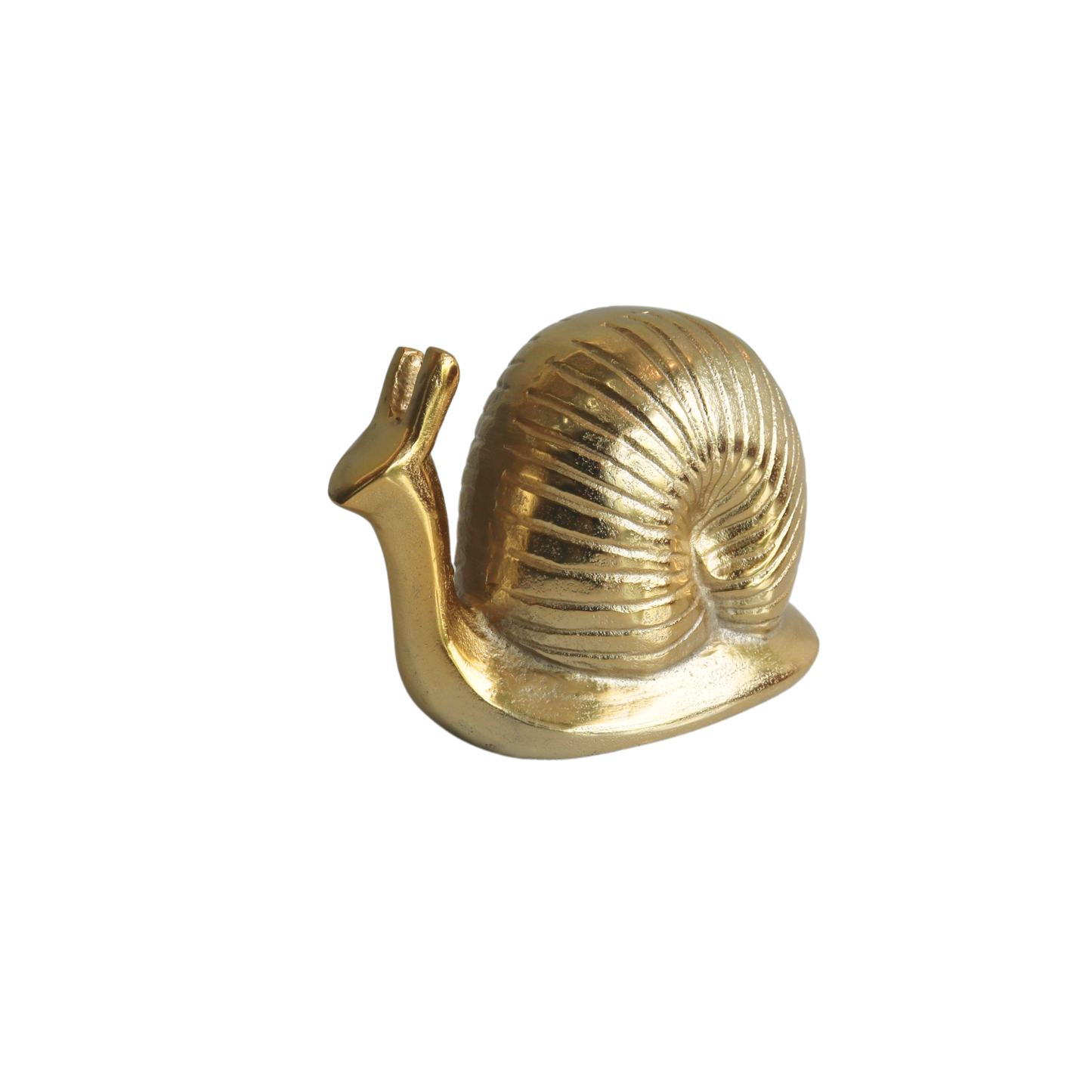 imp Golden Snail