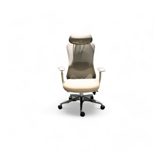 Alex Mesh Chair (High-Back)