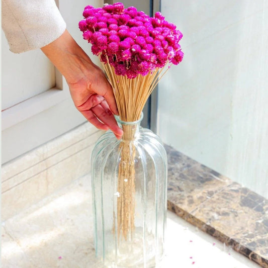 Gomphera with Crystal Glass vase