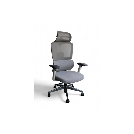 Primy Mesh Chair (High-Back)