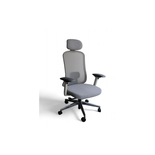 Giroflex  Mesh Chair (High-Back)