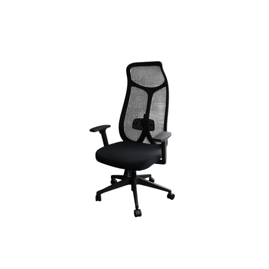 Atlanta  Mesh Chair (High-Back)