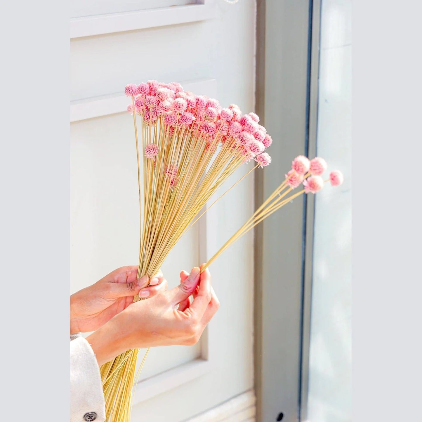 Gomphera set of 25 stems -Light pink