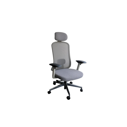 Giroflex  Mesh Chair (High-Back)