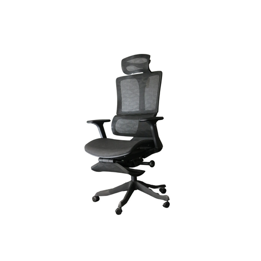 Sihoo Boss   Executive Mesh Chairs (High-Back)